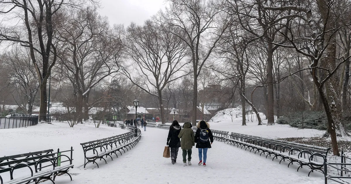 The City on a Three-Day Pause